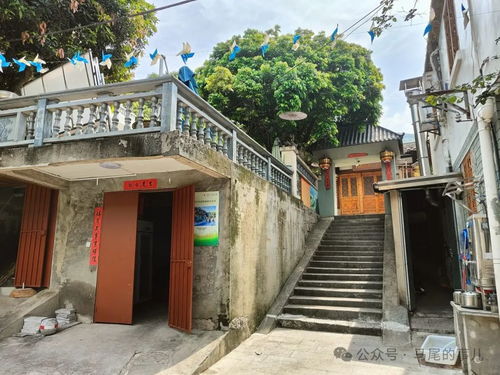 四十度高温能逃去哪？马尾这5个避暑胜地请收藏，宗祠文化园领衔