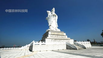 清雅净土妈祖文化园 融合一县一品公益助农与宗祠文化，弘扬江苏泗阳八集小花生特色