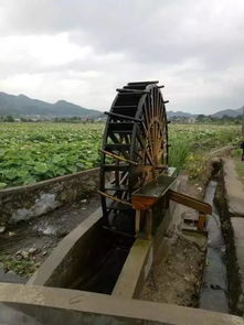 畅游汝城花海古村——赣州人79元一日游火热报名中
